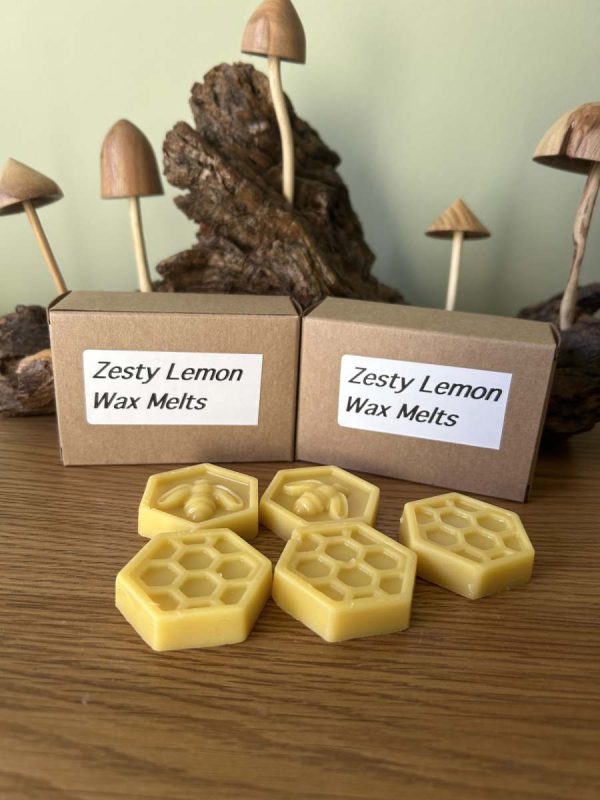 Wax Melt - Zesty Lemon