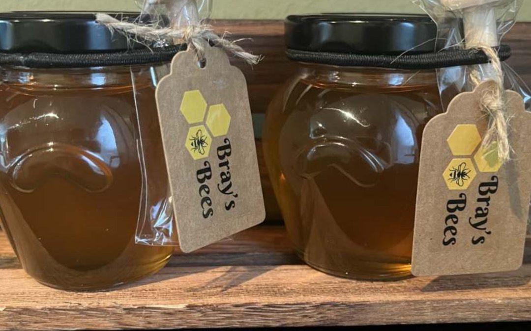 Raw Vs. Processed Honey – Why Raw Northumberland Honey is in High Demand?