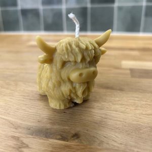 Wax Candle - Highland Cow